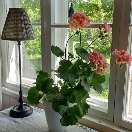 펜션 Bobackan Pihatorppa Hauholla *