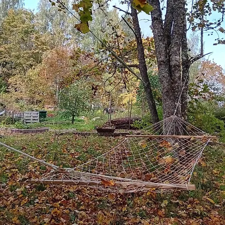 Bobackan Pihatorppa Hauholla * Alvettula