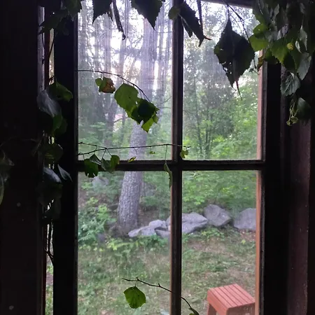 Bobackan Pihatorppa Hauholla