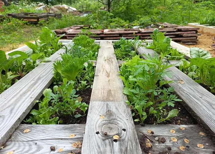 Bobackan Pihatorppa Hauholla Casa de Férias *